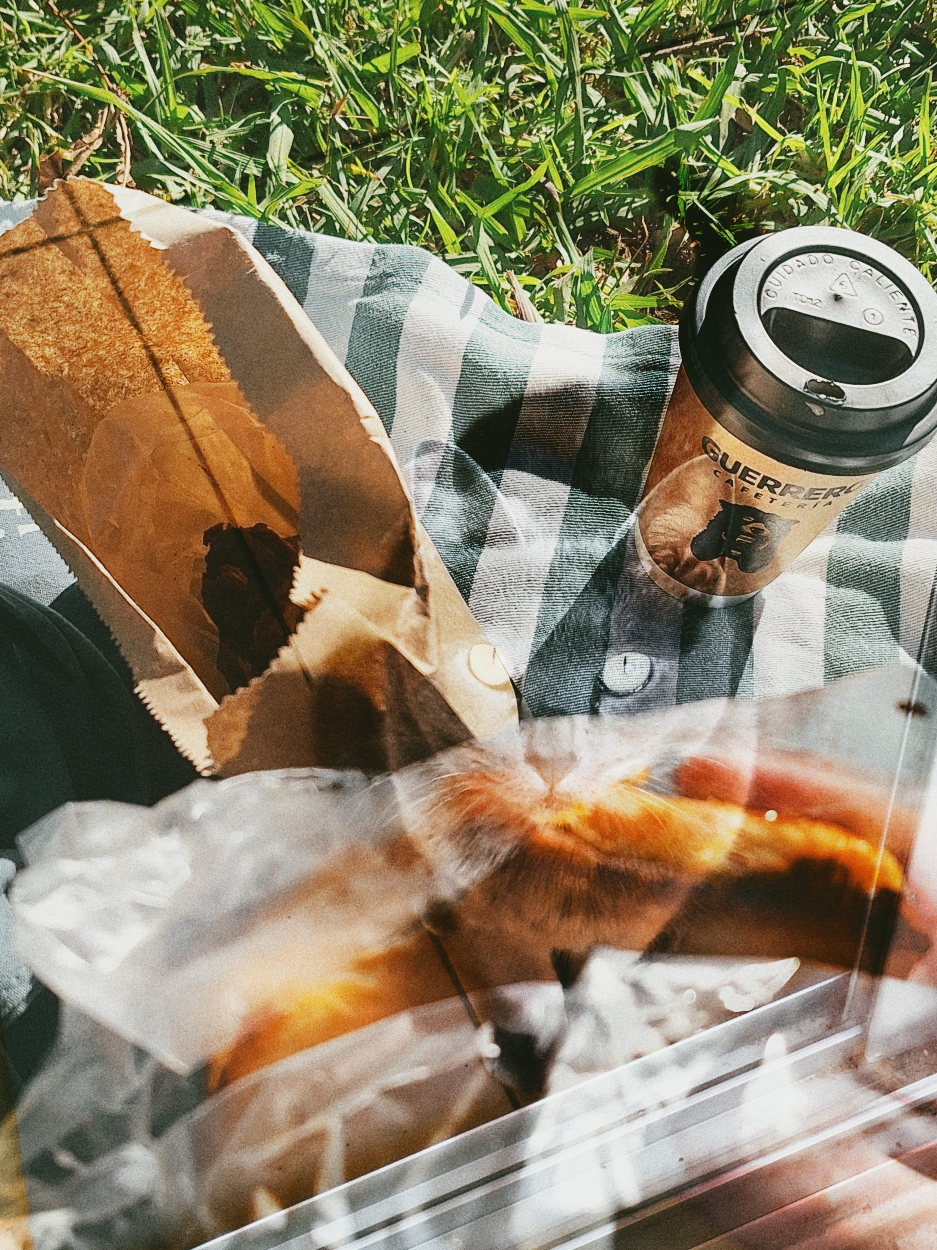Poema: Una tarde en el parque