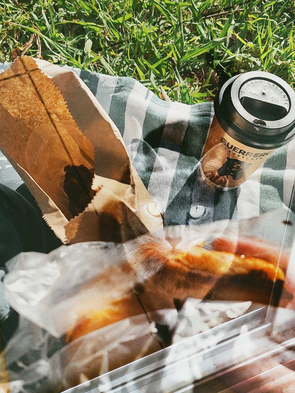 Poema: Una tarde en el parque